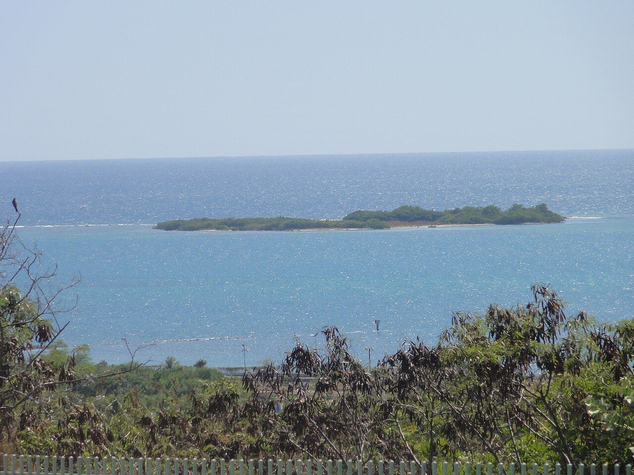 Isla de Ratones (Ponce)