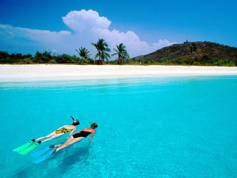 Culebrita