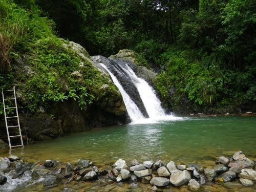 Charco las Bambuas