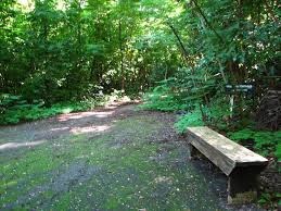 Bosque San Patricio
