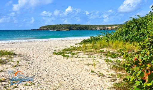 Playa Carlos Rosario