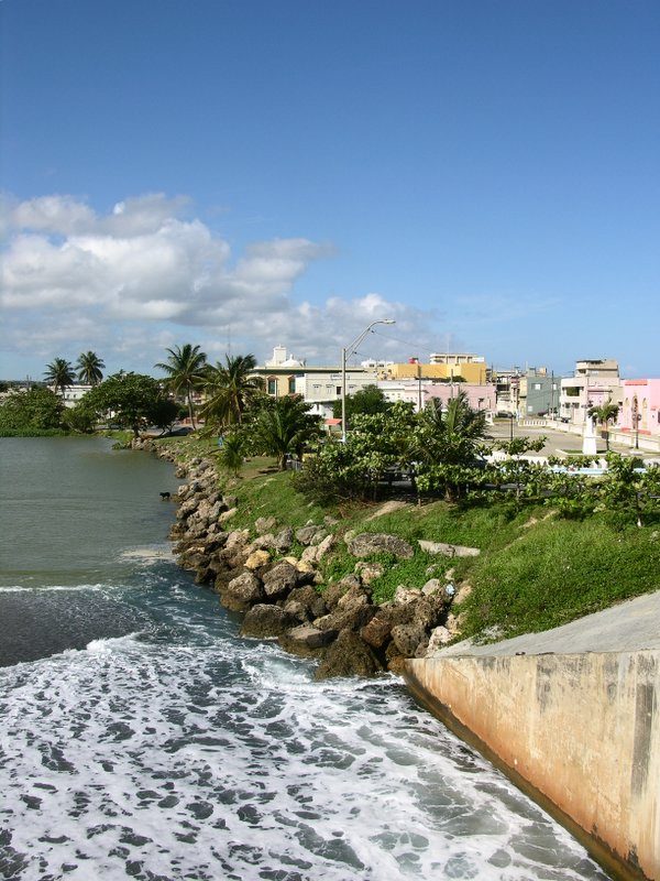 Plaza De Arecibo