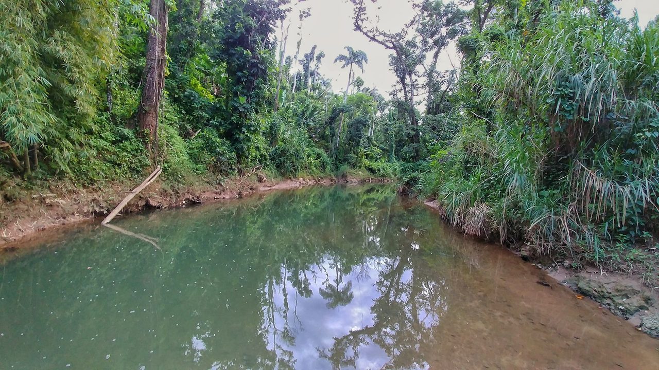 Río Guajataca