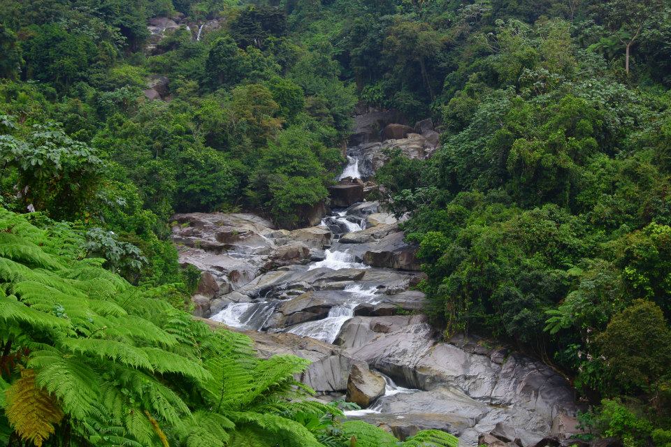 Río Icacos