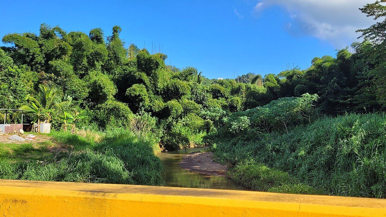 Cañas River (Mayagüez, Puerto Rico)