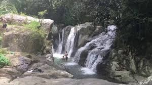 7 Chorros