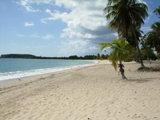 Playa Caracas