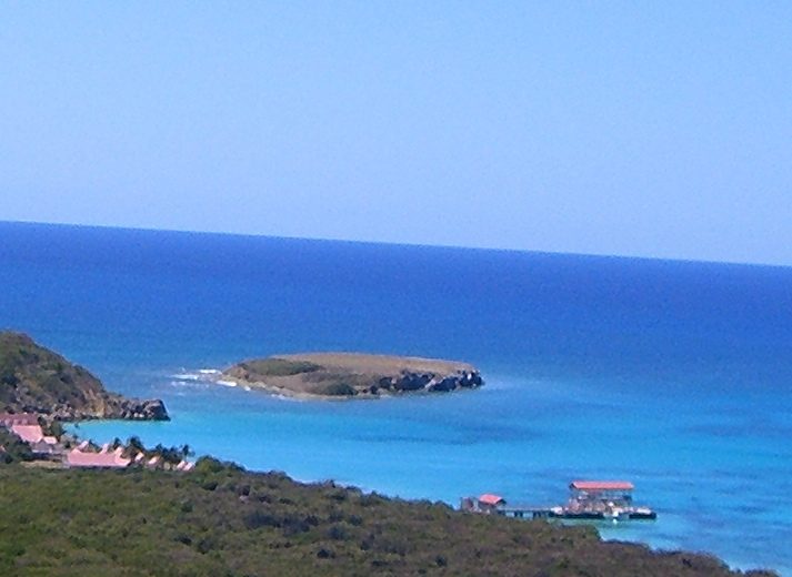 Morrillito