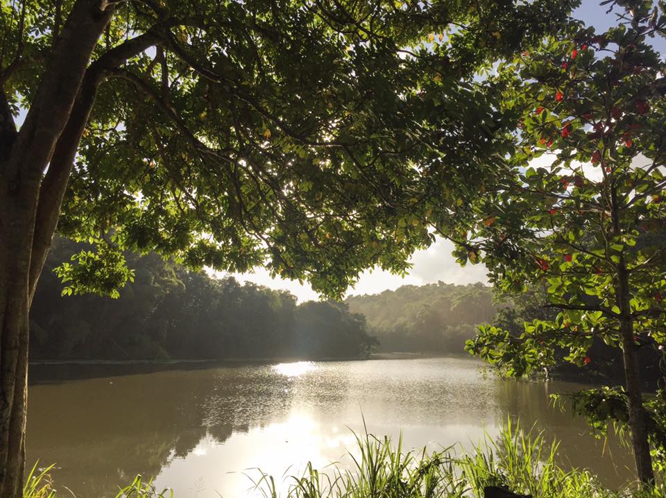 Río Gurabo