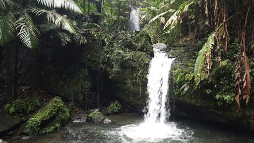 Charco las Lajas