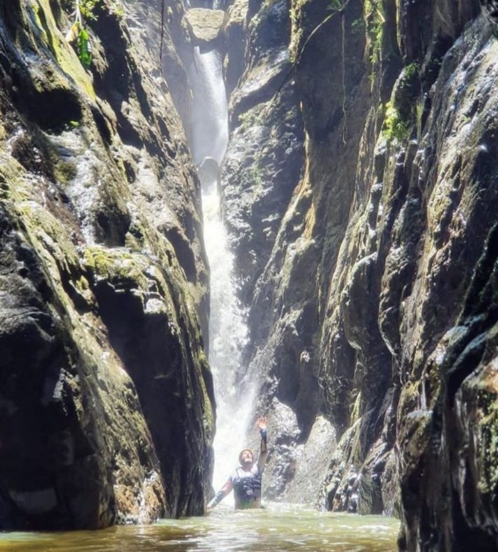 Canon verde