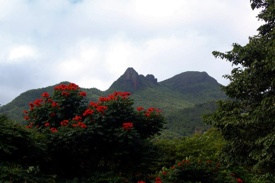 Torre de Los Picachos