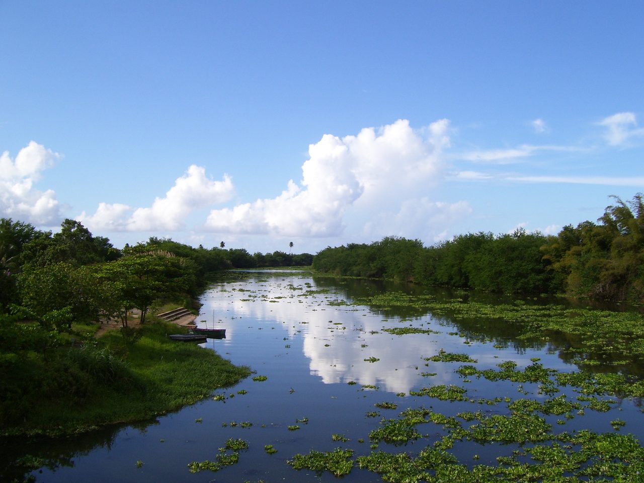 río de la Plata