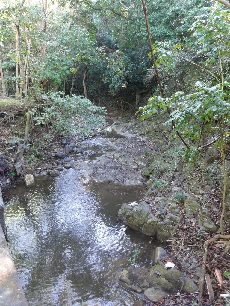 Río Pastillo