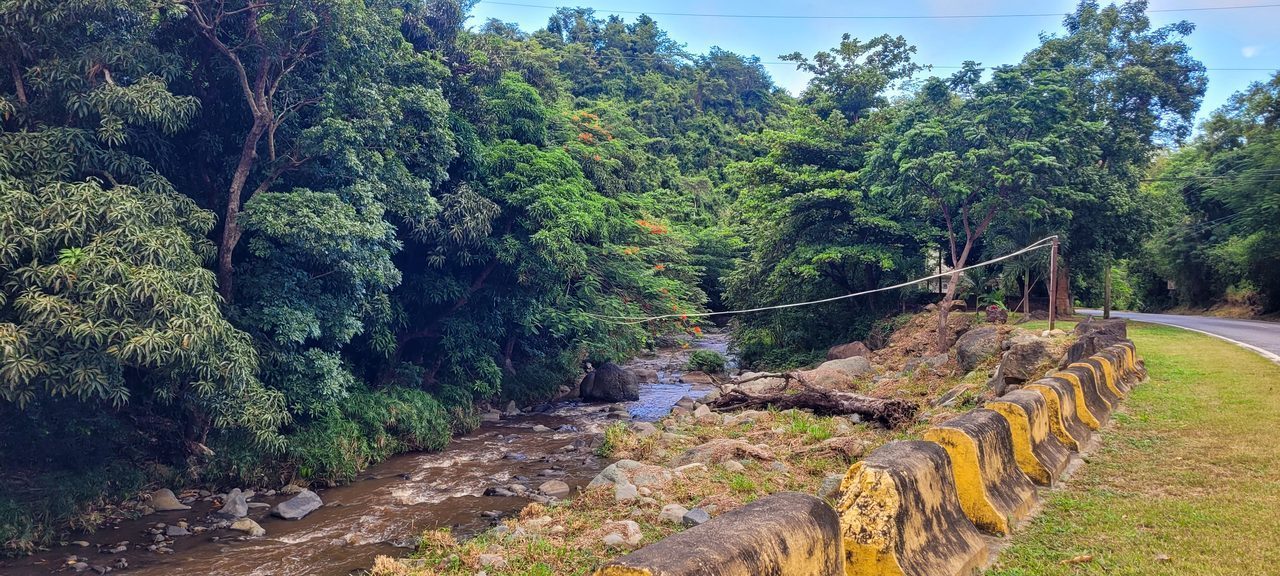 Río Guamaní
