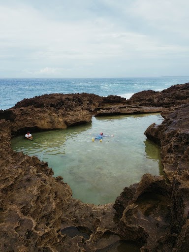 Piscinon