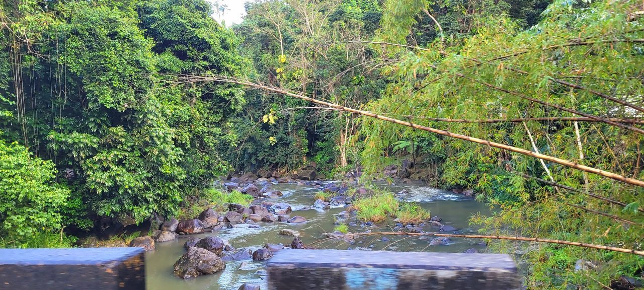 Río Espíritu Santo