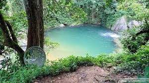 Charco Mangó