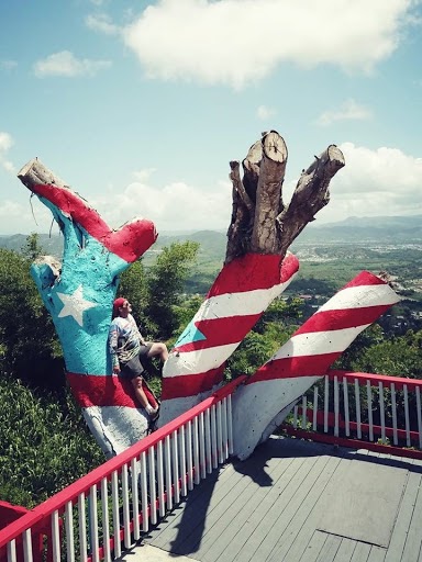 Bandera en Arbol