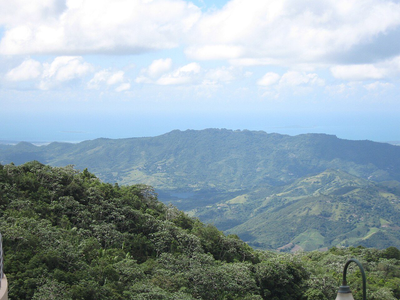 Bosque estatal de Toro Negro