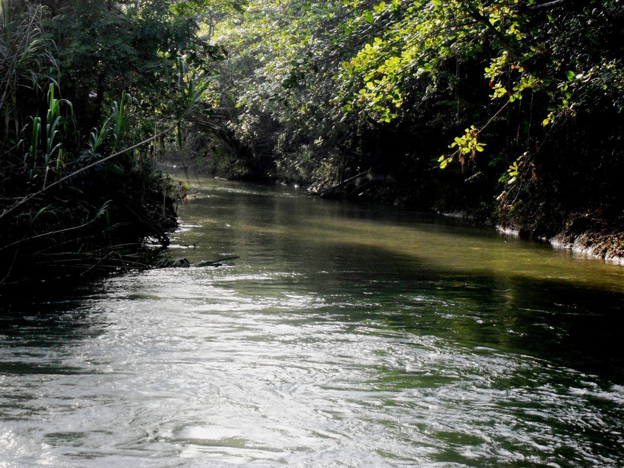 Río Camuy