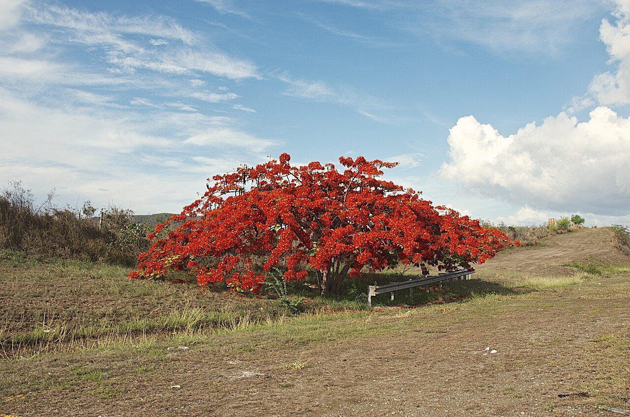 Río Descalabrado