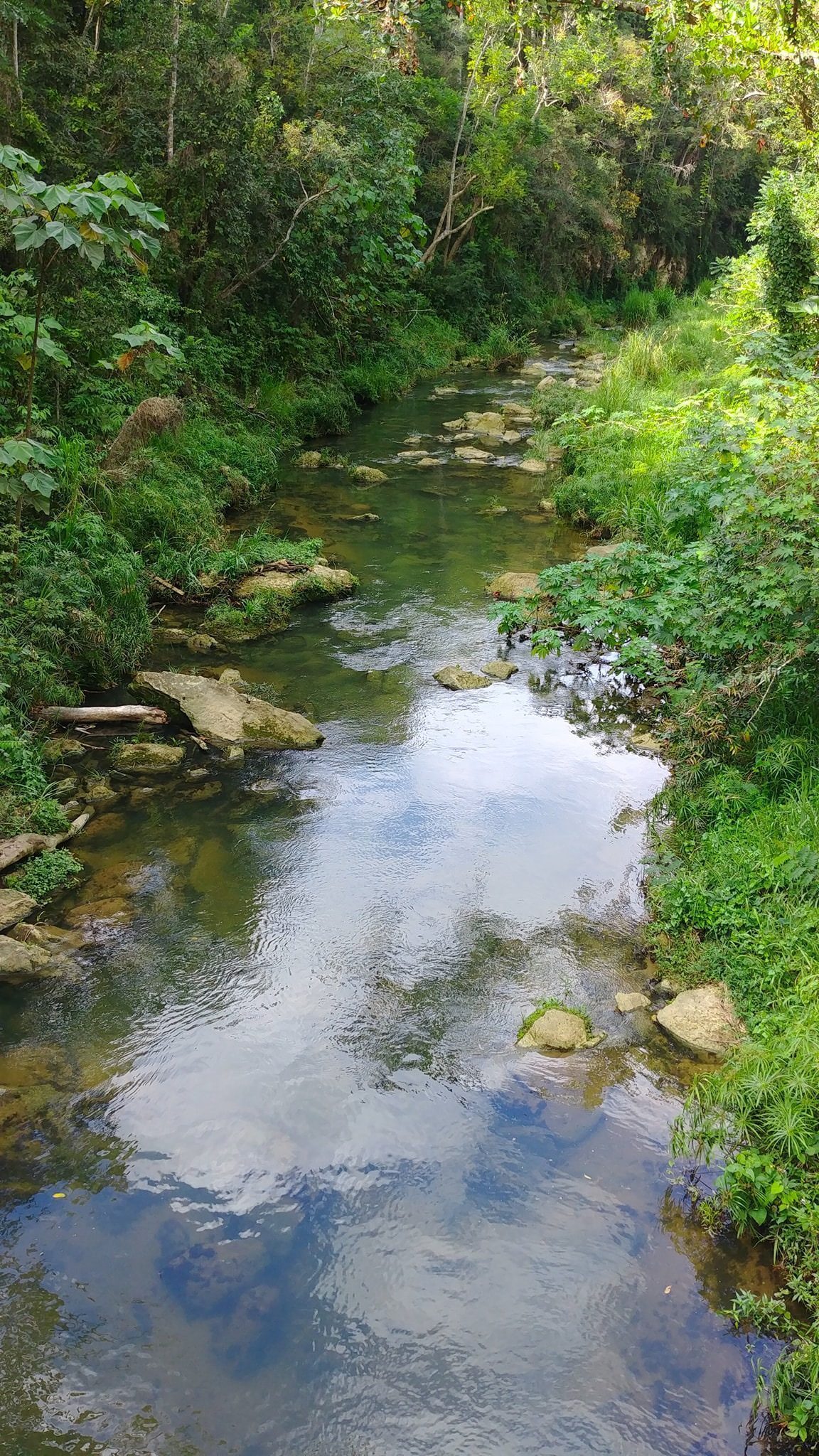 Río Indio