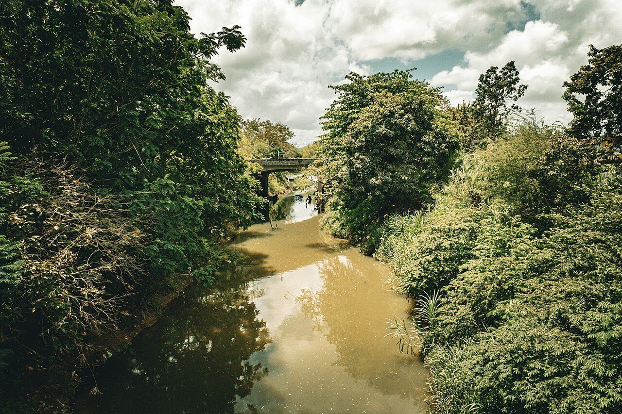 Río Canóvanas