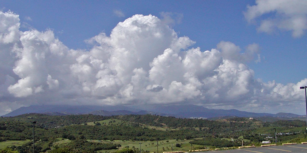Bosque Enano