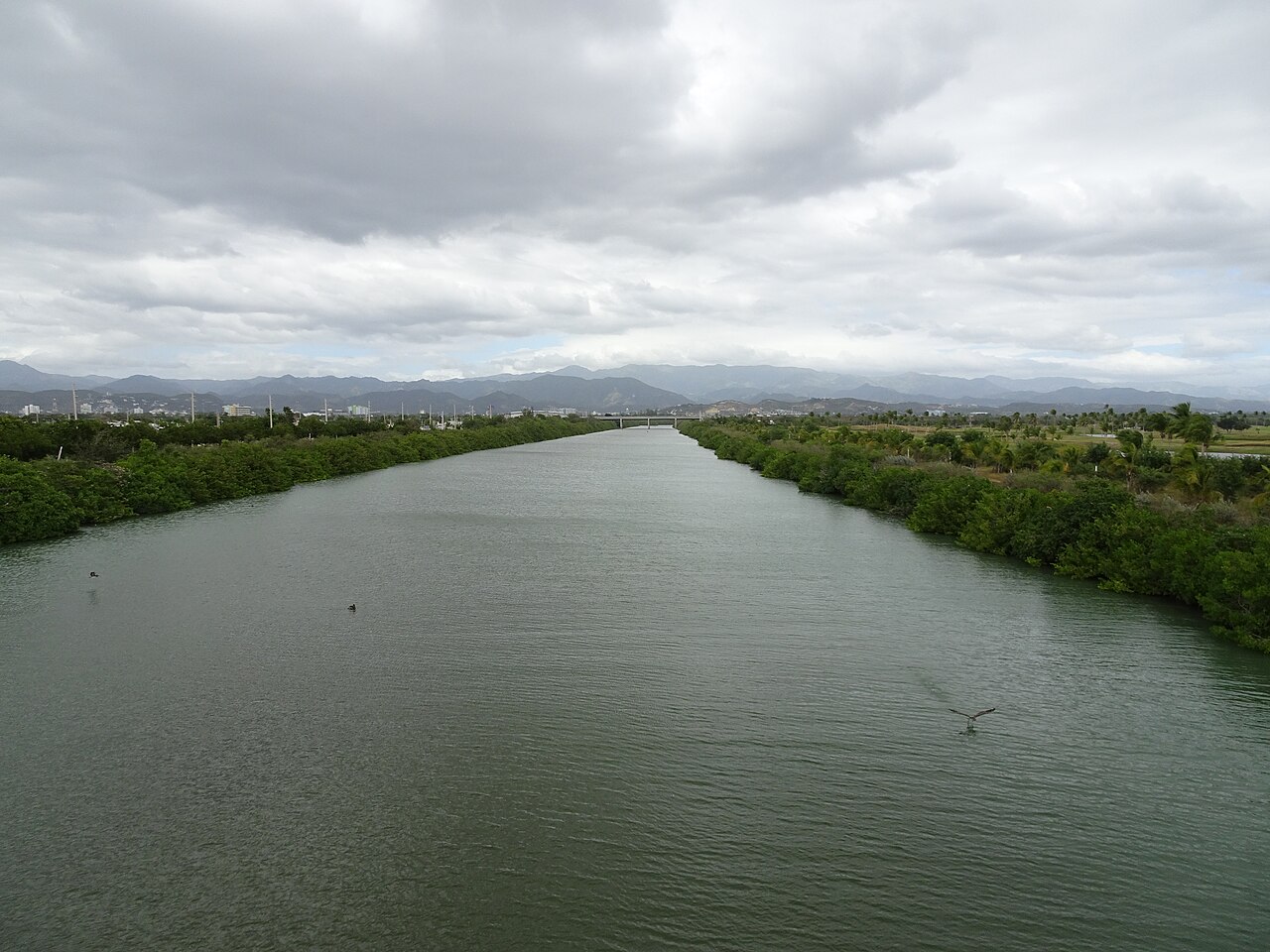 Bucaná River