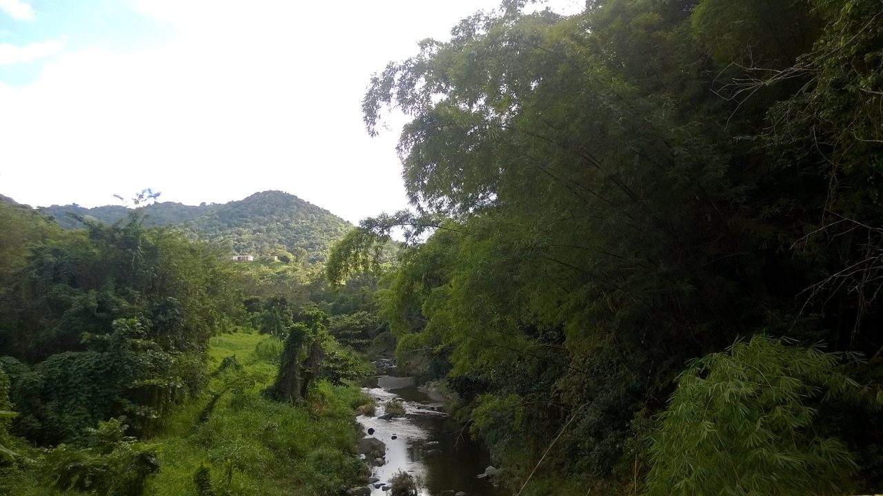 Río Arroyata