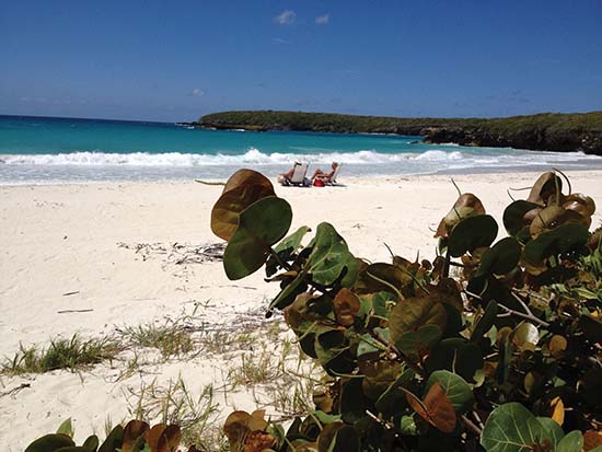 Caracas Beach (Vieques)