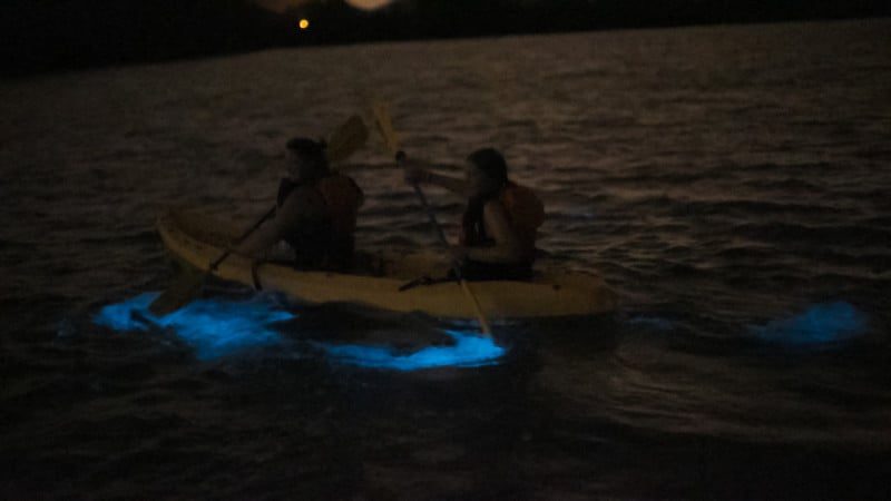 La Parguera Bioluminescent Bay