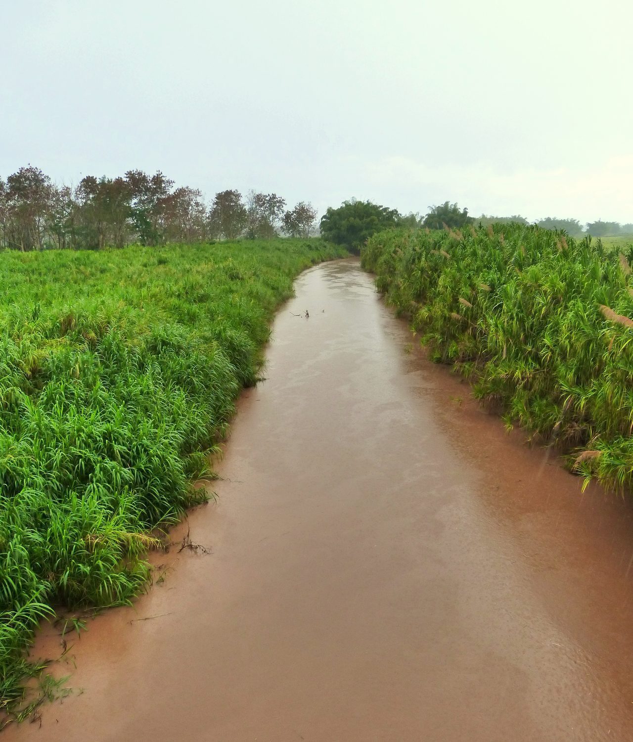Río Grande de Añasco