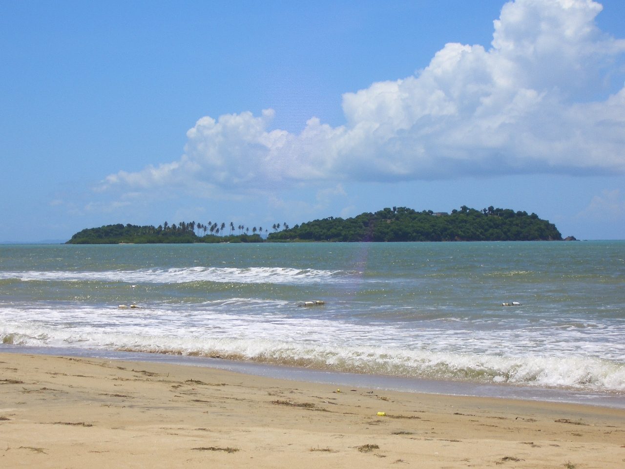 Cayo Santiago