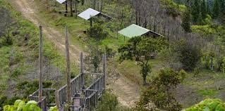 Bosque del Pueblo