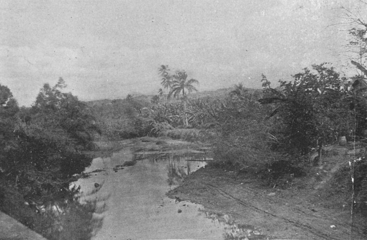 Río Rosario