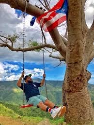 Bandera Curva Arbol