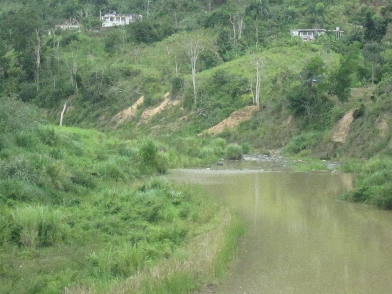 Río Orocovis