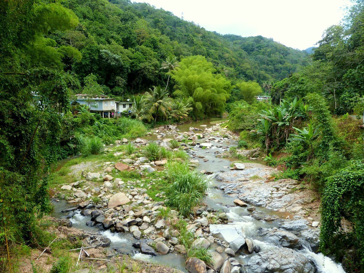 Río Pellejas