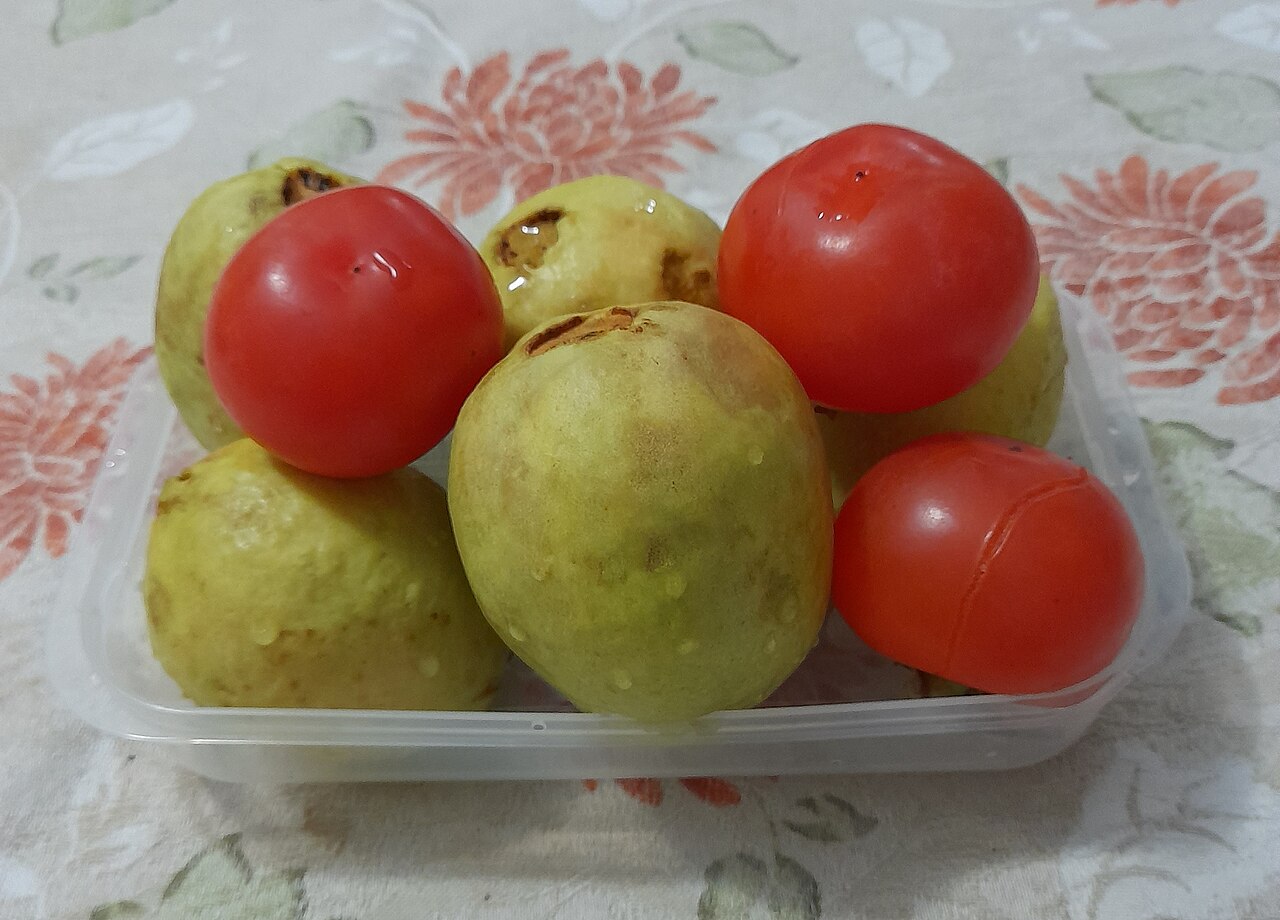 Guayaba