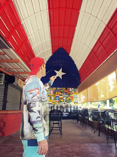 Bandera Techo