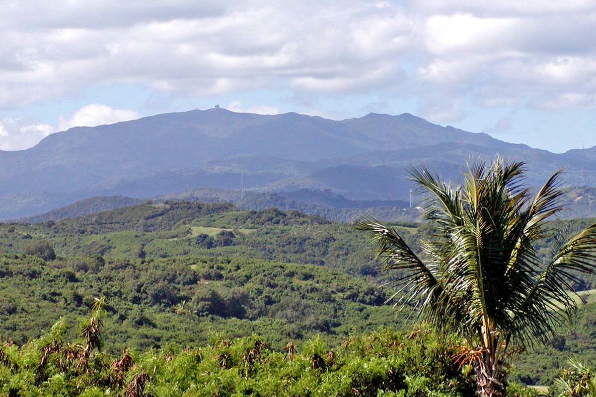 Pico del Este