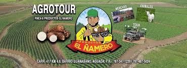 EL ÑAMERO