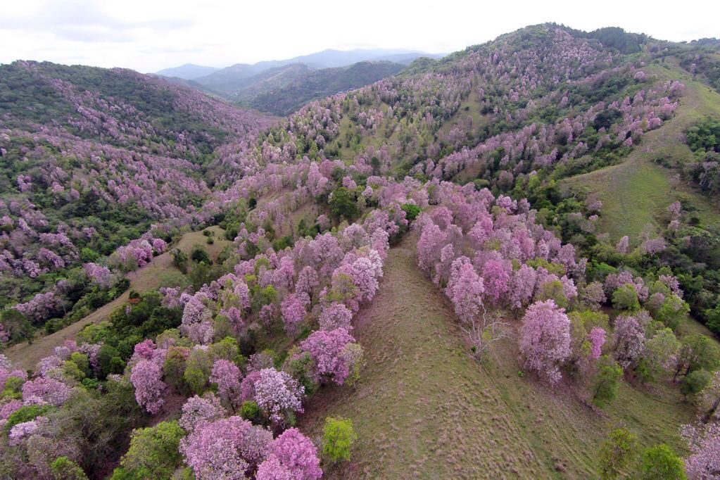 Área Natural Protegida La Robleda