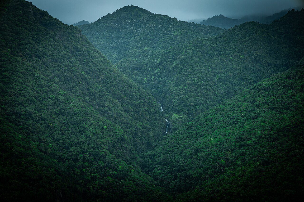 Reserva natural Planadas-Yeyesa