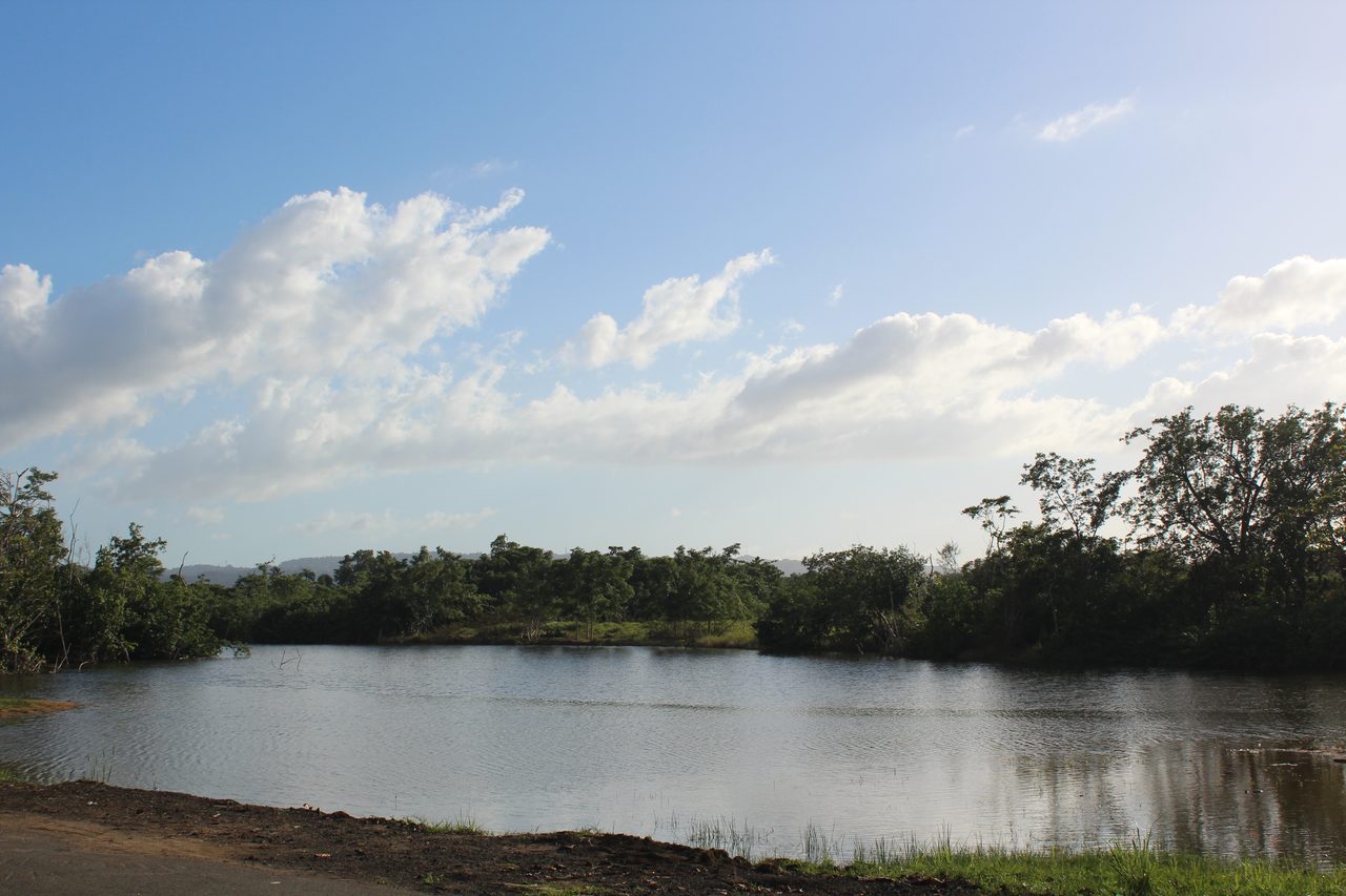 Río Culebrinas