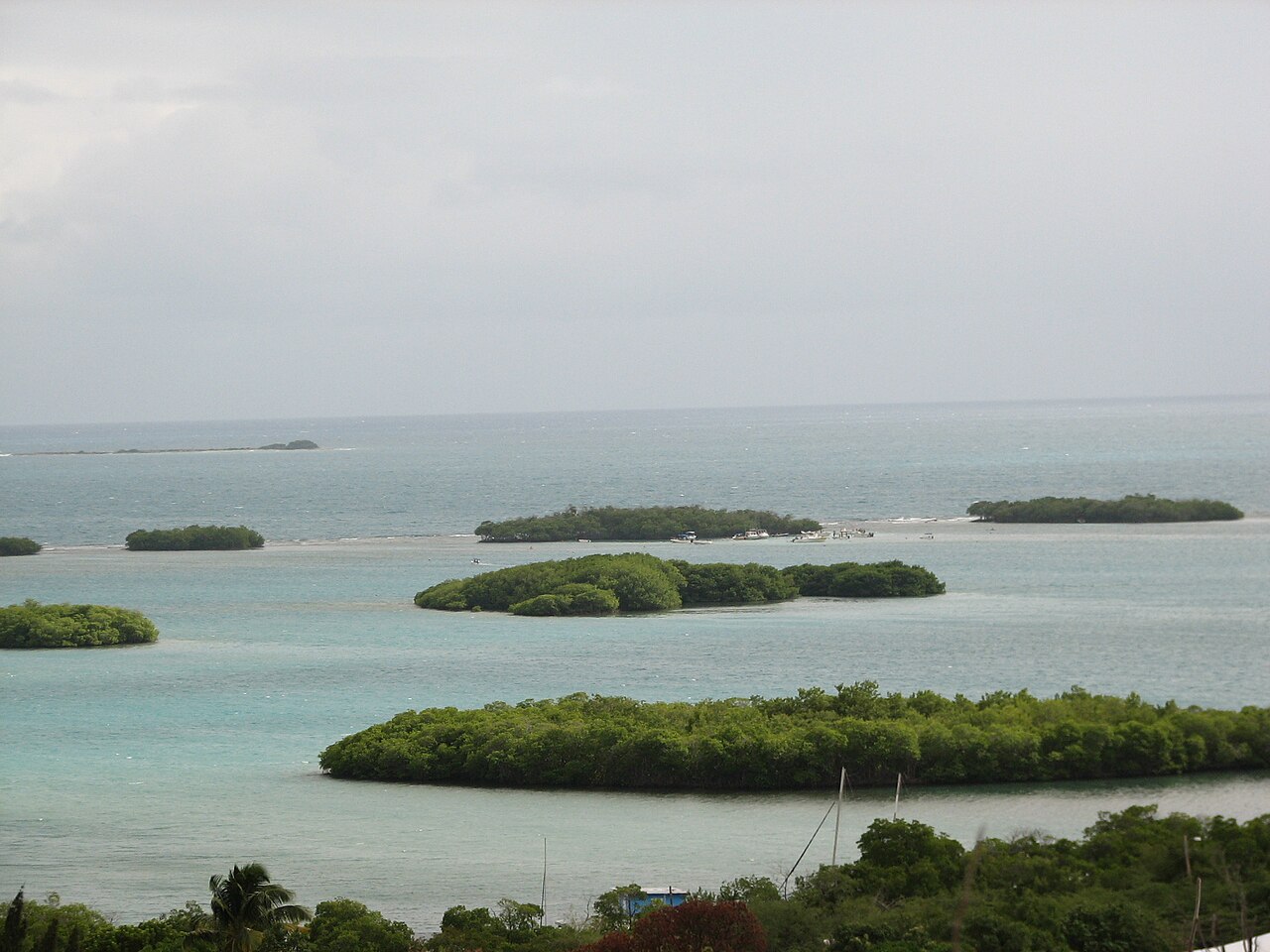 La Parguera Nature Reserve