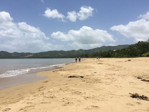 Turtle Beach Rincon