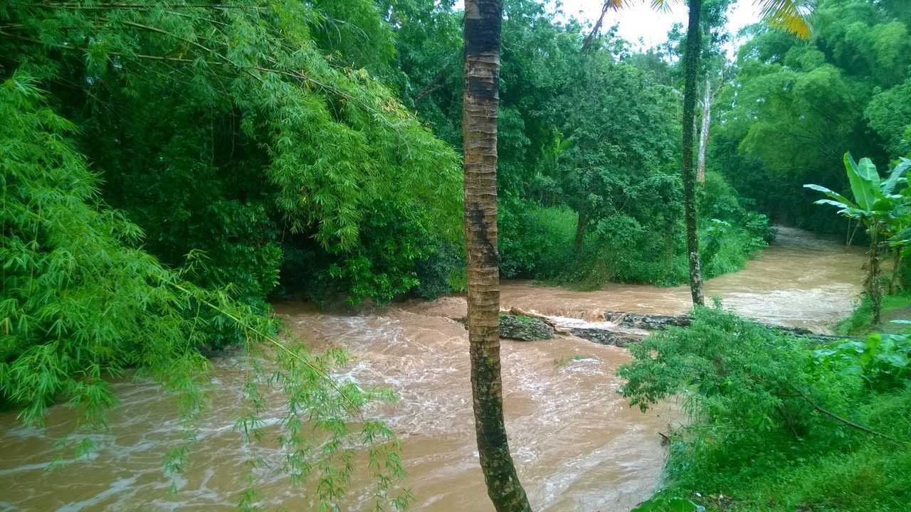 Río Cibuco